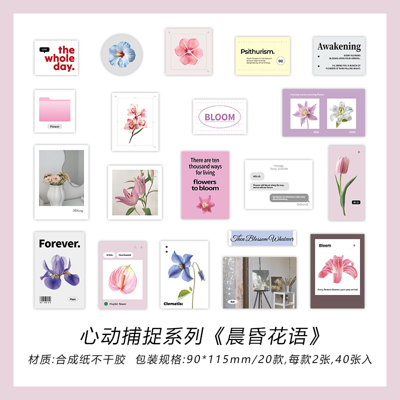 Paquete de pegatinas Infeel.Me Heartbeat Capture Plantas de sal Patrón en inglés Cuenta manual Diy Pegatinas de sellado decorativas