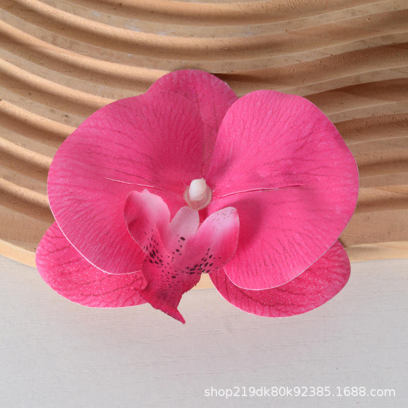 胡蝶蘭の花の頭は花びらの部品をシミュレーションします。|undefined