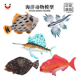 ���挍�ĺ������ģ�� ��Ŀ�~���~�t�I�~��Ƥ�~ ��ͯ�J֪��ߔ[��
