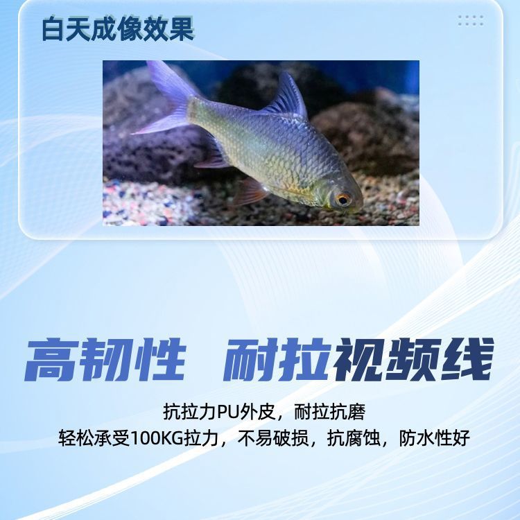 b3f6dbec-f648-4758-9faf-45afb076c1b1.jpe