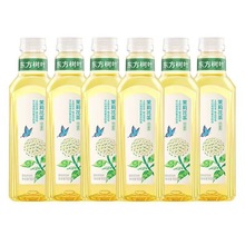 农夫山泉东方树叶茉莉花茶900ml12瓶装整箱大瓶500ml批发饮料
