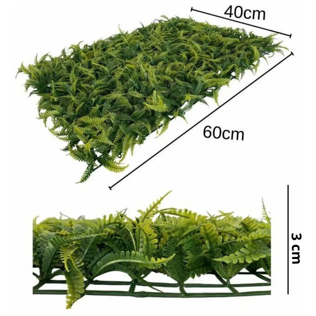 Pineapple grass