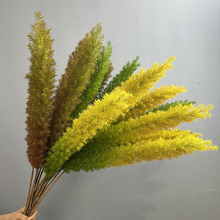 仿真植物狐尾天门冬狐尾草鼠尾草家居酒店婚庆园林景观绿植盆景