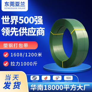 South China factory plastic steel packing belt wholesale 1608 stone fixed logistics packaging plastic manual pet plastic steel belt