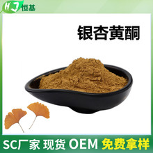 银杏黄酮 24% 内酯6%  银杏叶提取物 1㎏装 恒基批发 银杏黄酮