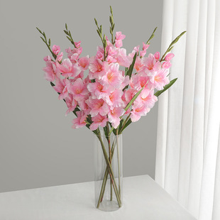 ��Y�õ��Ų廨����ٻ����m ����ʽ�ҾӔ[�������L֧��������