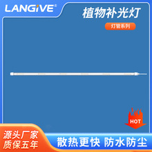 ֲ���a���LED���ܻ������˶�ѿ����ˮ��ȫ���V����ֲ�����L��