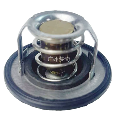 Mn187250 Car, Thermostat