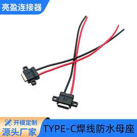 USB连接器 TYPE-C防水母座 2P 全塑式焊线 带电子线 带卧式锁板孔