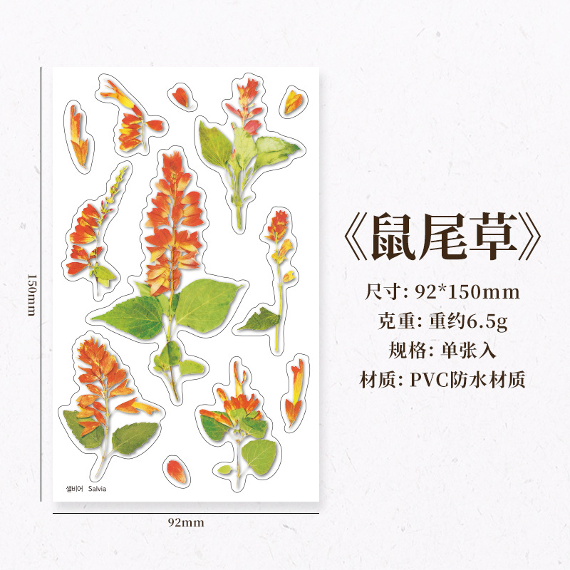 Corea del Sur papelería creativa flor artificial transparente PVC pegatinas flor planta diario libro Diario decoración taza de agua pegatinas