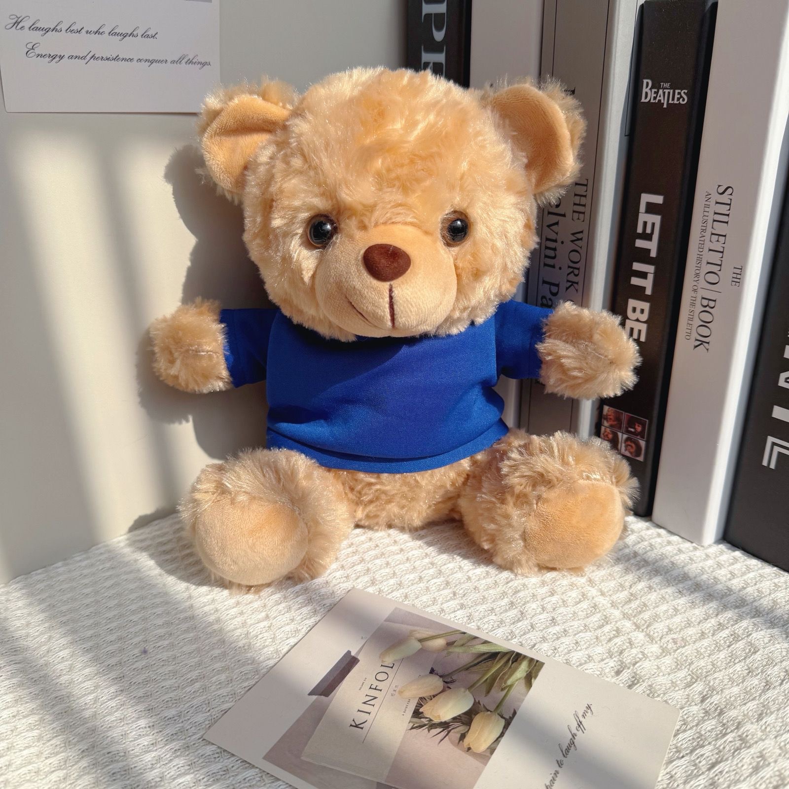 El oso marrón-1