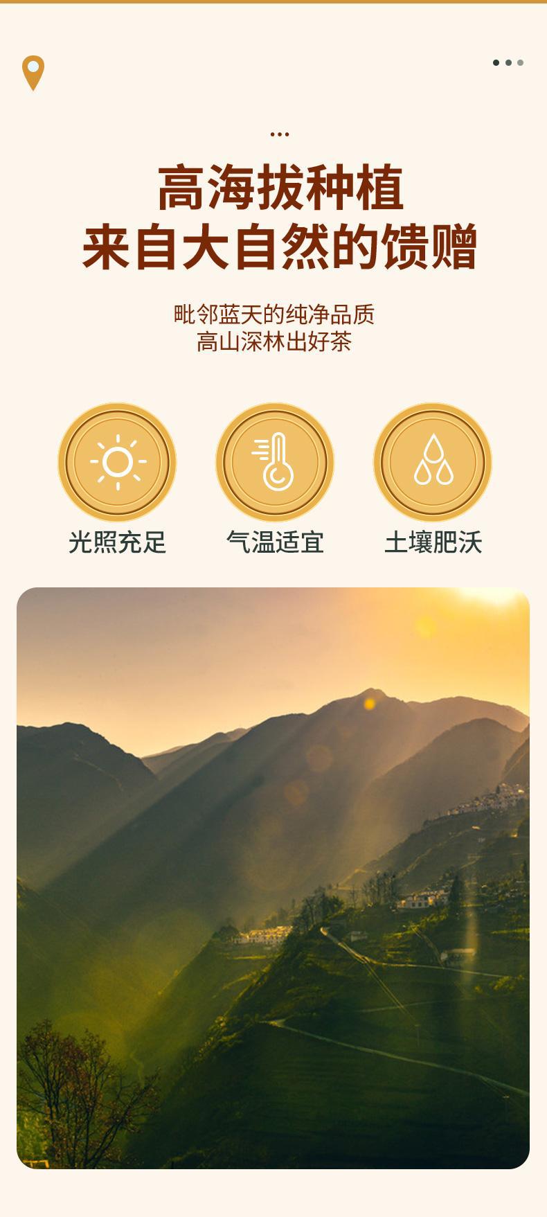 Yellow Tartary Buckwheat Tea Huang Ku Qiao 500g Roasted Whole Grain Herbal Tea with Rich Malty Aroma quality and texture