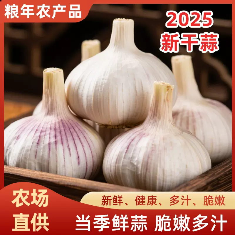 当季新鲜大蒜头农家自种无添加炒菜调味增香多瓣中果白皮蒜头批发