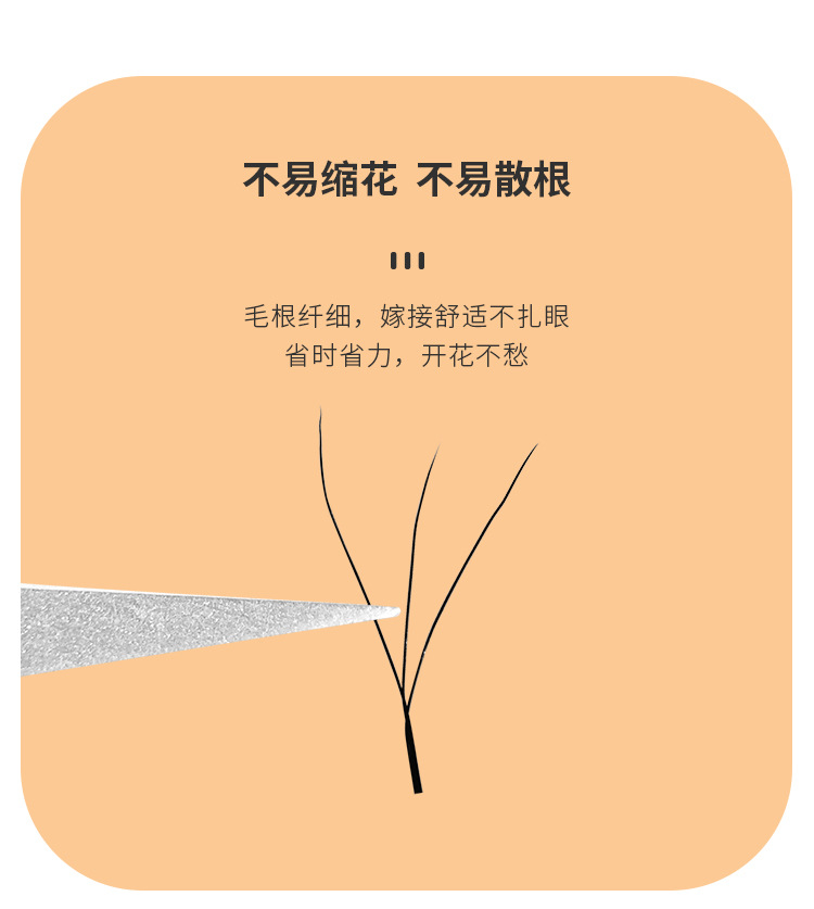 三叶草嫁接睫毛