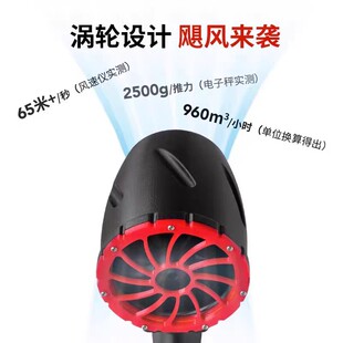 Cross-Border High-Power 64mm Violent Fan 1999g Hair Dryer Industrial Brushless Lithium Battery Blower Storm Gun Strong