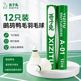 羽毛球