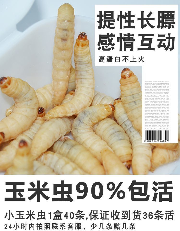 一键上货_20241007174736