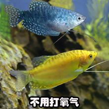 �^�p�S�{�������w�Ꭷ�����~���������B��ˮ�~���־����~�����~��