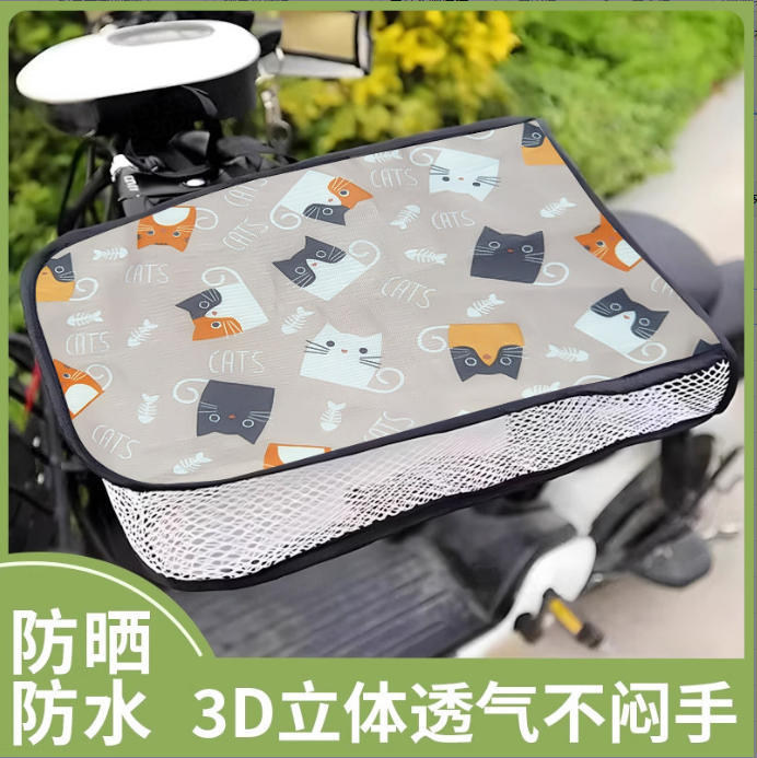 새끼 고양이 쌍