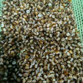 玛瑙天珠批发10mm一线药师天珠DIY散珠配珠手里蓝项链A珠宝