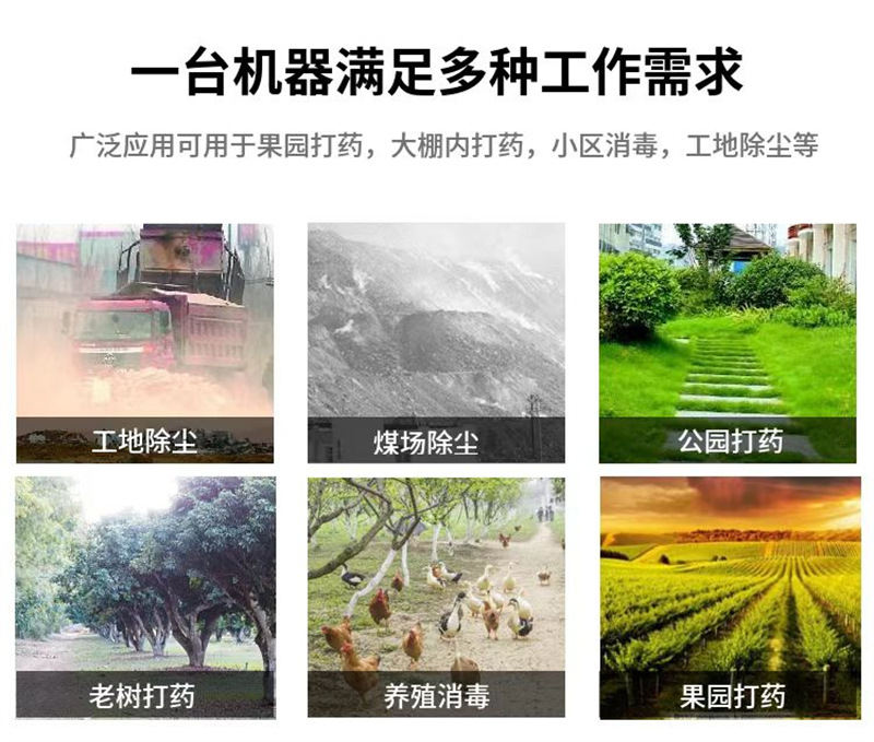 微信图片_202412310915311