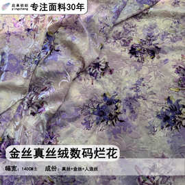 金线真丝绒数码烂花面料真丝丝绒布料时尚单品连衣裙套装用布秋冬