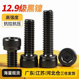 僺��12.9�����^�������ݽzᔸߏ��ȈA���^��˨M2M2.5M3M4M5M6M8