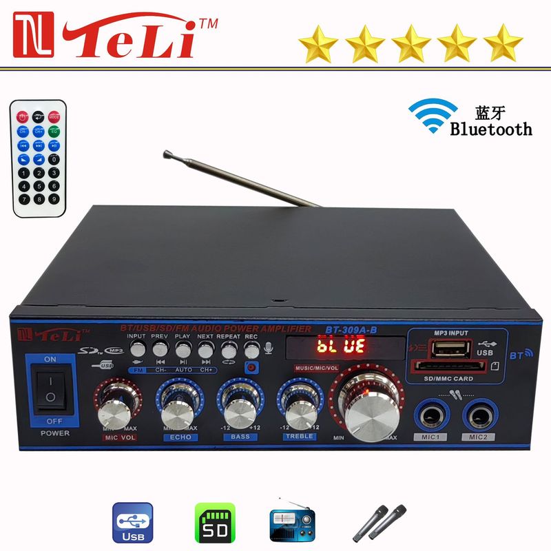 Cross-Border Export Bt-309A-B Mini Bluetooth USB Radio 12V/220V Ac and Dc Car Home Amplifier