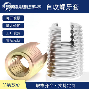 ̼䓲��P��Թ������Թ������o���r���_�ۃ�������ĸ���o��M3M4M5