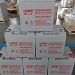 雷仕顿UPS电源EPS电源直流屏 通信屏电源12V24AH专用免维护蓄电池