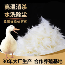 ˮϴ6-8cm���L����ëƬ�坍�o��ζɳ�l��о���|�����ë���l