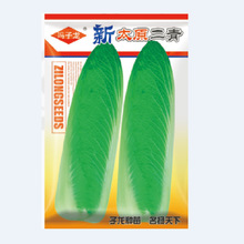 �T�����߲˷N����̫ԭ�����ײ˷N�ӻ�����@¶��