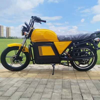 Cross-Border Export D300 Electric Elektrikli motosikletlər