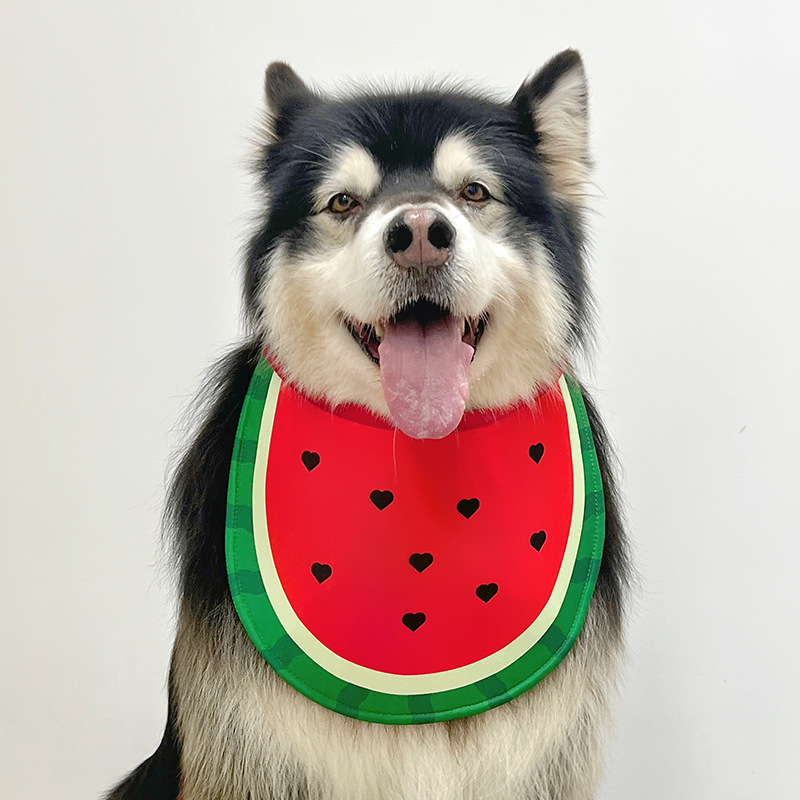 Dog Scarf 3