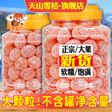 ǽ۸ɸʲݽɽѩ500gbӸTʳ