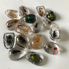 ��ͯ�ھ򿼹����x�˱� �ϳɘ�֬�������x ɢ�bˮ��ä�И˱��F؛