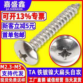 铁镀镍粤标TA伞头十字自攻钉M2.3~M6批发大扁头自攻螺丝防腐蚀