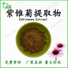 紫锥菊提取物10:1多规格高比例水溶性紫锥菊粉紫锥菊多酚现货批发