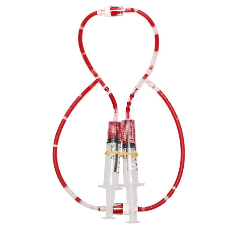 circulación sanguínea