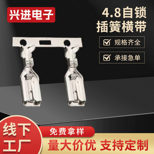 4.8���i��əM�� 187���iĸ���Ӿ����B�m���� 4K���B����