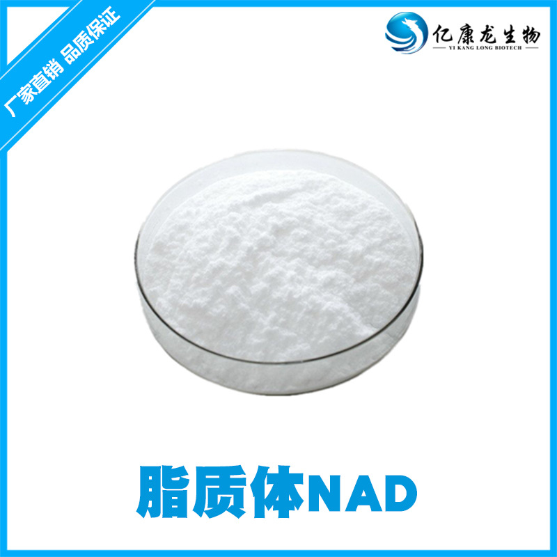 脂质体β-烟酰胺腺嘌呤二核苷酸 99%NADH/NAD+辅酶 10克/袋厂家现