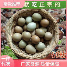 七彩山鸡蛋60枚新鲜 宝宝辅食 农家杂粮天然散养土鸡蛋野鸡蛋全年