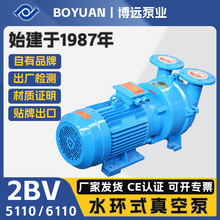 2BV水环式真空泵5110/6110铸铁不锈钢3044kW精雕机液环泵自吸