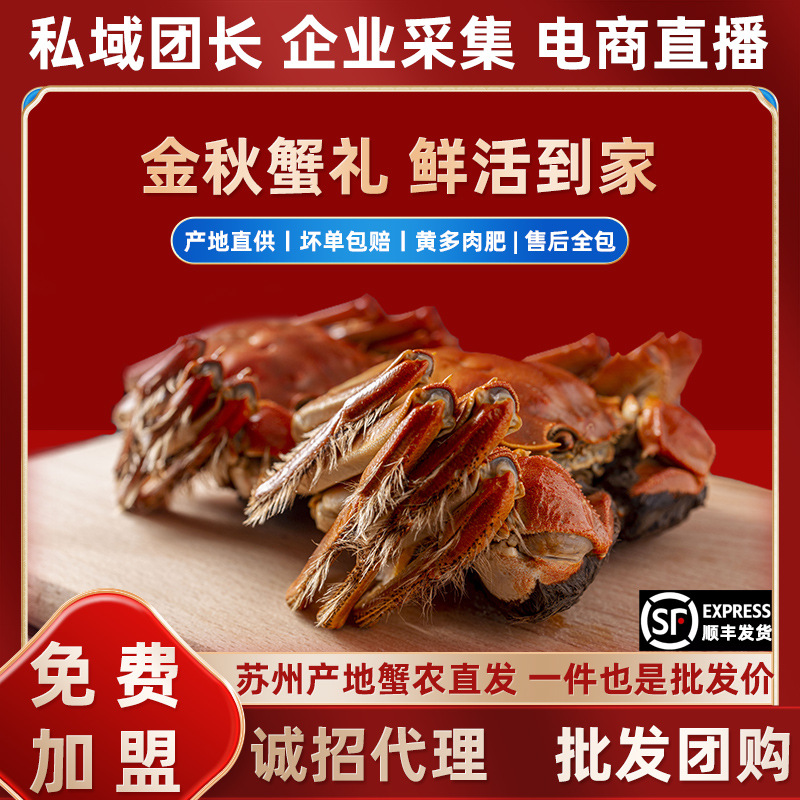 苏州产地大闸蟹私域代发代理加盟全国招商量大价优中秋国庆礼盒装