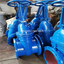 TQ450球墨铸铁硬密封铜芯闸阀 Z41T-10Q Z41W-10Q 水库水泵房闸阀