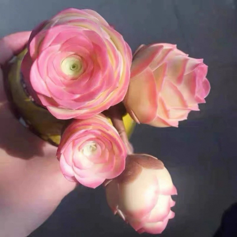 [선호군] 마운틴 로즈 워터 피치 멀티 헤드 1개