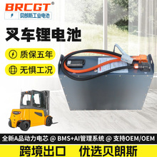 VCD250��늳ؽMLi-ion늄Ӳ�܇LiFePo4����܇�������F�늳�24V