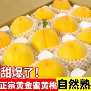 �����S�����r���Ӯ���ˮ��5��r���\�S��������ժ�S��ë������