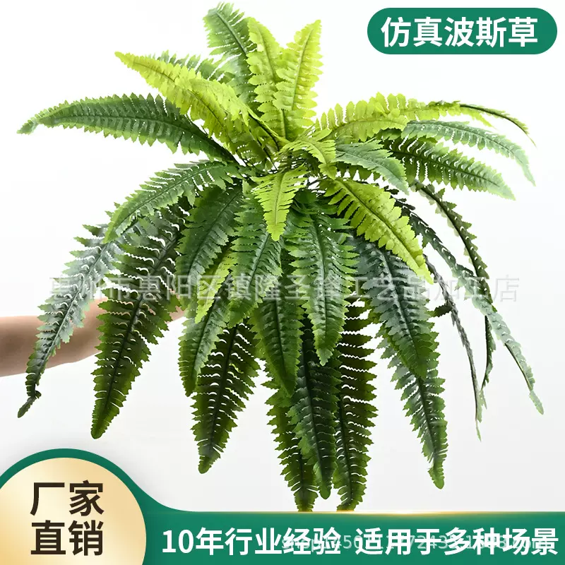 仿真绿植蕨类植物波斯草大把束波斯叶婚庆装饰假波斯草仿真花批发