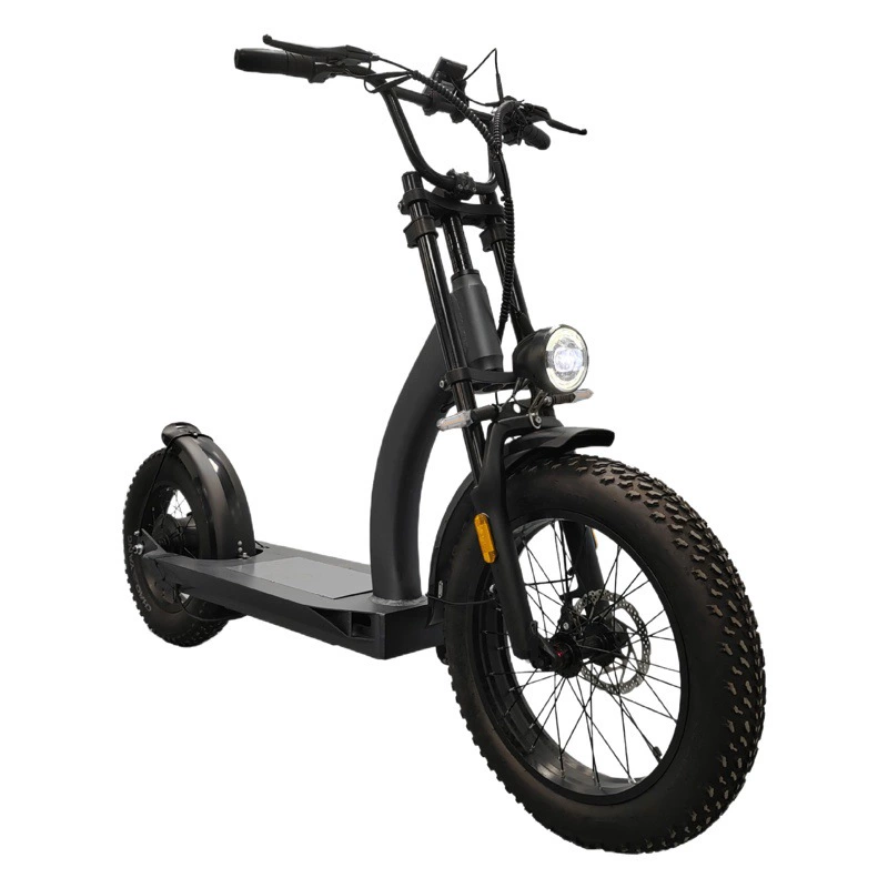 16-дюймовый 20-дюймовый Снежный скейтборд электромобиль трансграничный Электрический скутер оптом внедорожный электрический скутер с двойным приводом